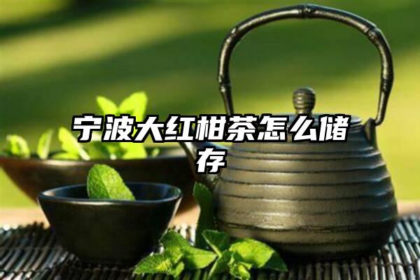 宁波大红柑茶怎么储存