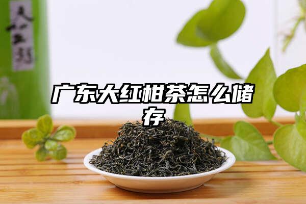 广东大红柑茶怎么储存