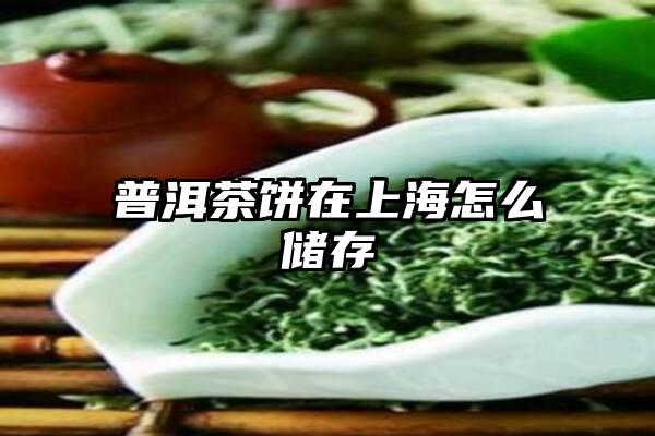 普洱茶饼在上海怎么储存