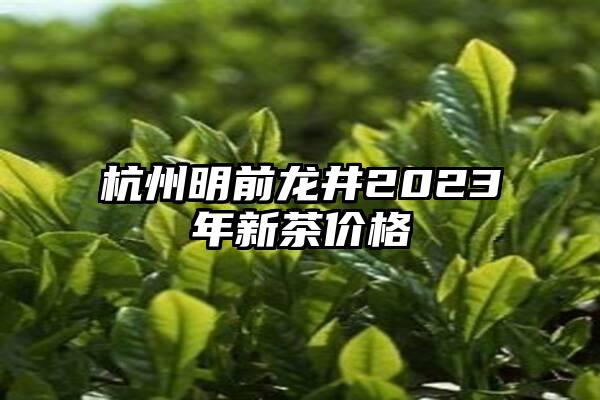 杭州明前龙井2023年新茶价格