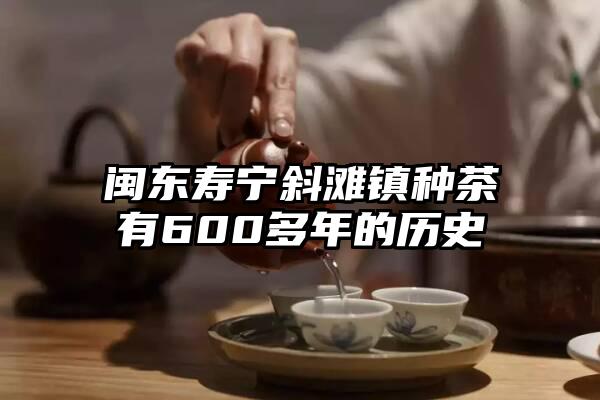 闽东寿宁斜滩镇种茶有600多年的历史