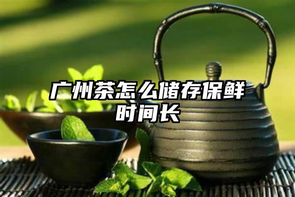 广州茶怎么储存保鲜时间长