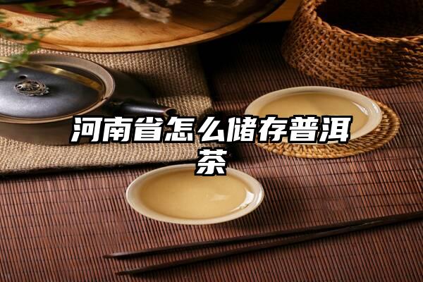 河南省怎么储存普洱茶