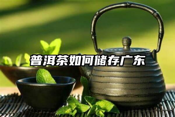普洱茶如何储存广东