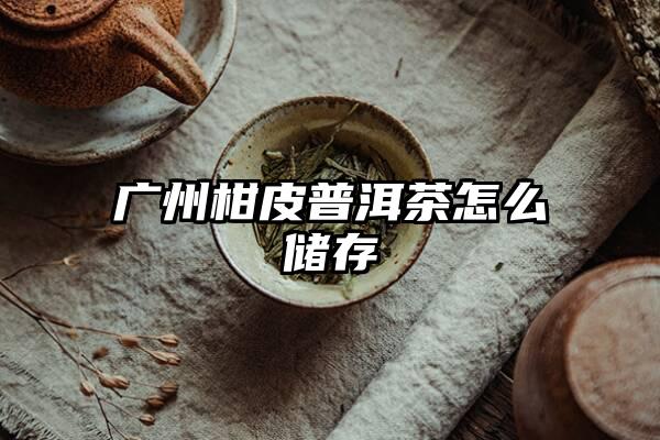 广州柑皮普洱茶怎么储存