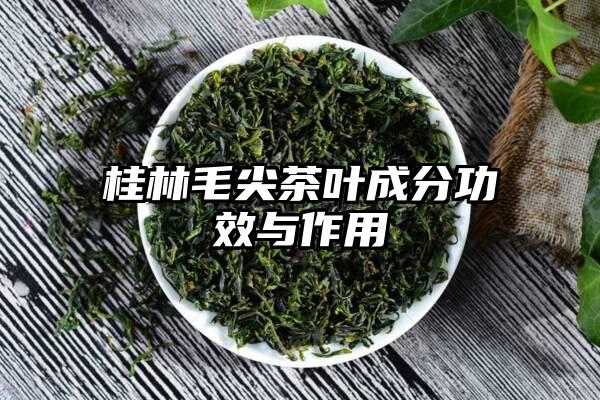 桂林毛尖茶叶成分功效与作用