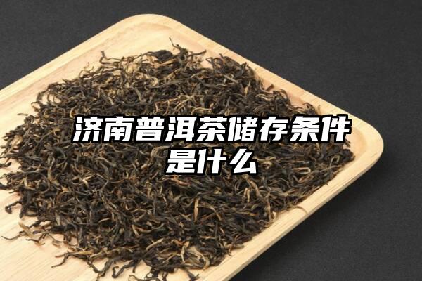 济南普洱茶储存条件是什么