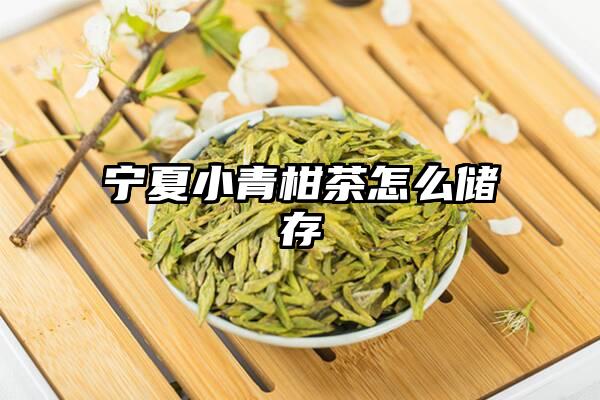 宁夏小青柑茶怎么储存