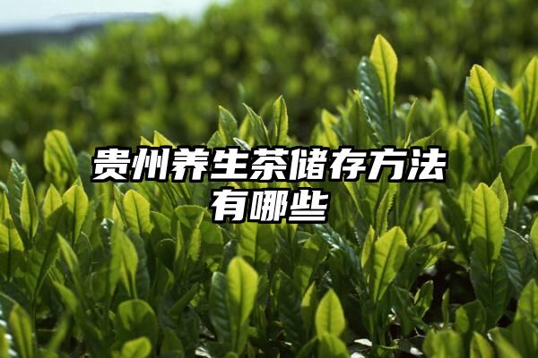 贵州养生茶储存方法有哪些