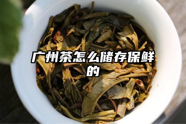 广州茶怎么储存保鲜的