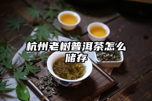 杭州老树普洱茶怎么储存