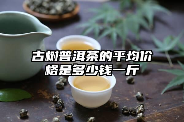 古树普洱茶的平均价格是多少钱一斤