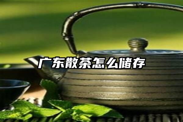 广东散茶怎么储存