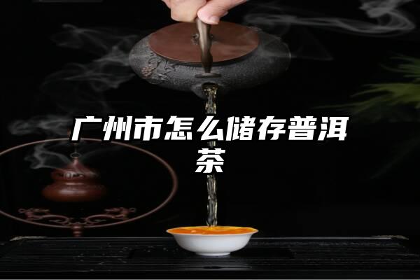 广州市怎么储存普洱茶