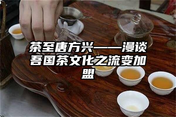 茶至唐方兴——漫谈吾国茶文化之流变加盟