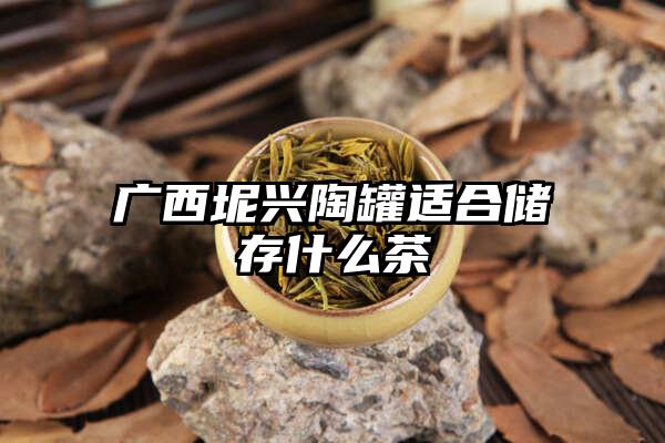 广西坭兴陶罐适合储存什么茶