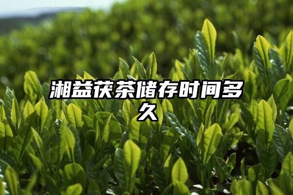 湘益茯茶储存时间多久