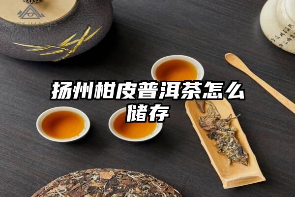 扬州柑皮普洱茶怎么储存