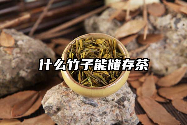 什么竹子能储存茶