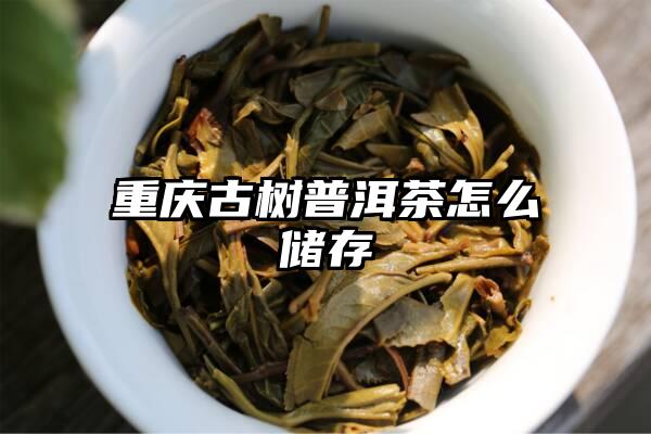 重庆古树普洱茶怎么储存