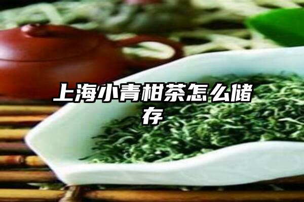 上海小青柑茶怎么储存