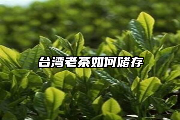 台湾老茶如何储存