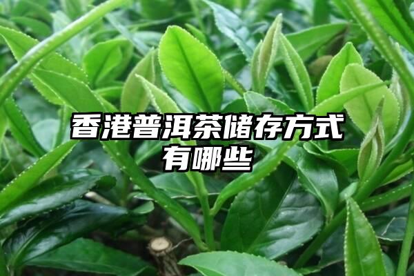 香港普洱茶储存方式有哪些