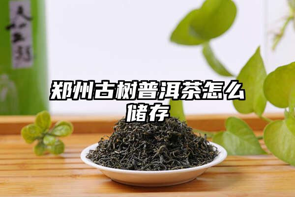 郑州古树普洱茶怎么储存