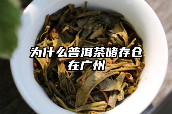 为什么普洱茶储存仓在广州