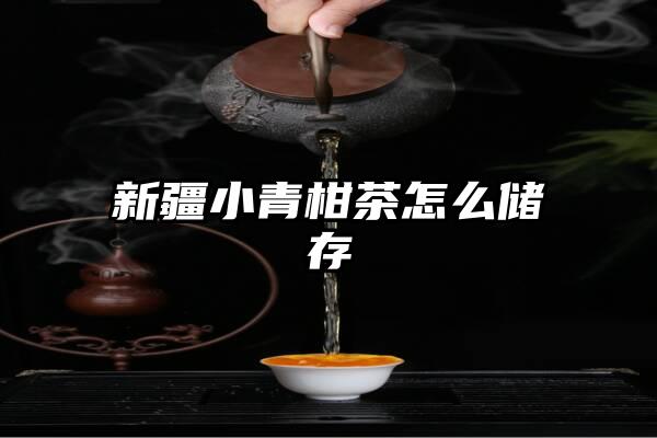 新疆小青柑茶怎么储存