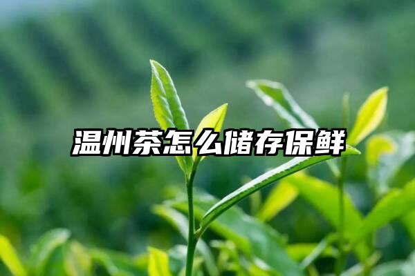 温州茶怎么储存保鲜