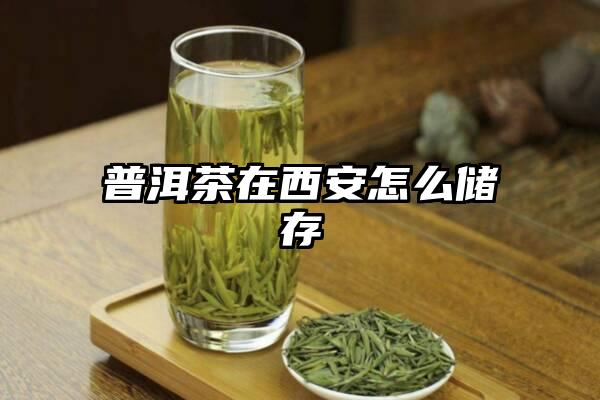 普洱茶在西安怎么储存