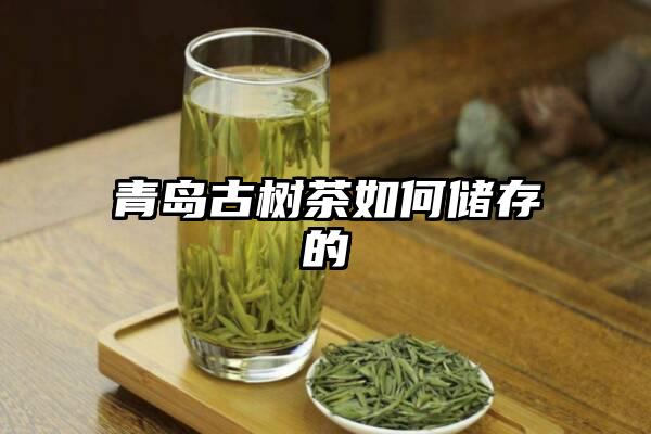 青岛古树茶如何储存的