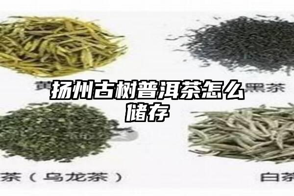 扬州古树普洱茶怎么储存