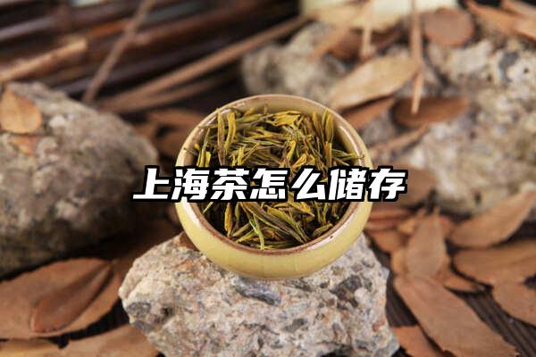上海茶怎么储存