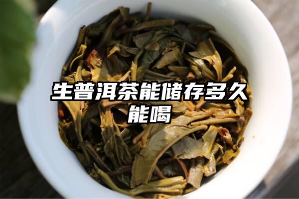 生普洱茶能储存多久能喝