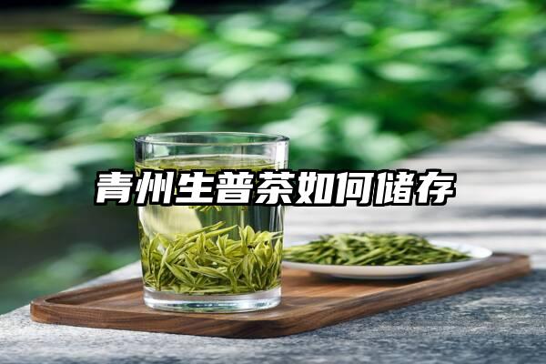 青州生普茶如何储存