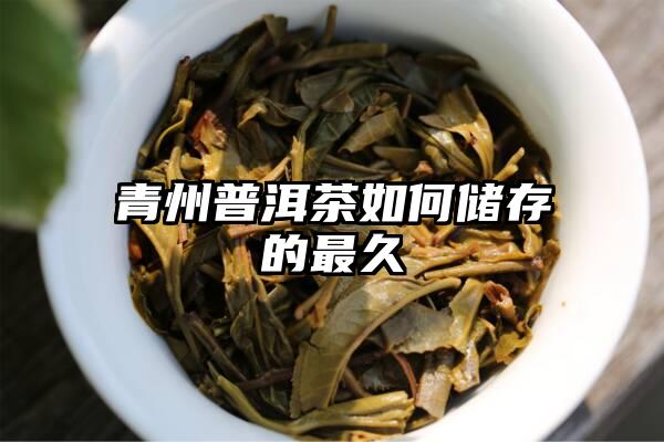 青州普洱茶如何储存的最久