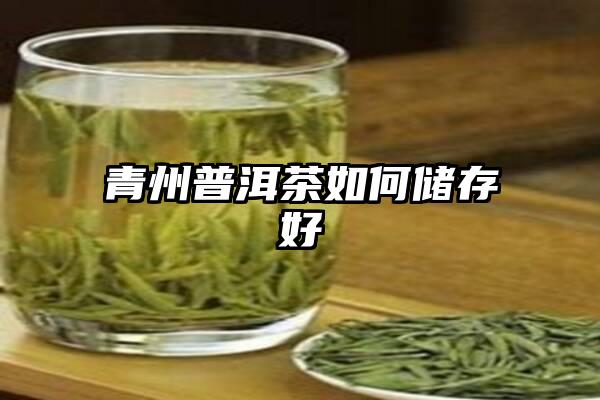 青州普洱茶如何储存好