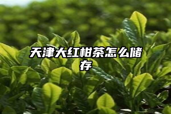 天津大红柑茶怎么储存