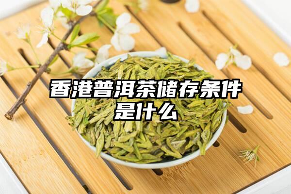 香港普洱茶储存条件是什么