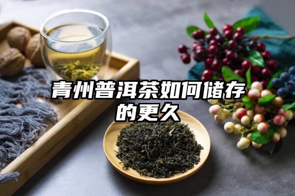 青州普洱茶如何储存的更久