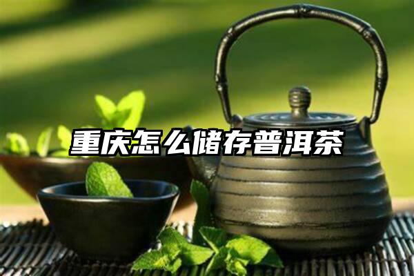 重庆怎么储存普洱茶