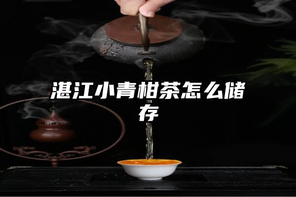 湛江小青柑茶怎么储存