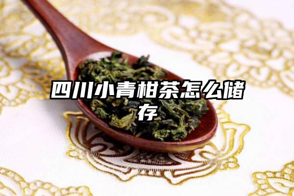 四川小青柑茶怎么储存