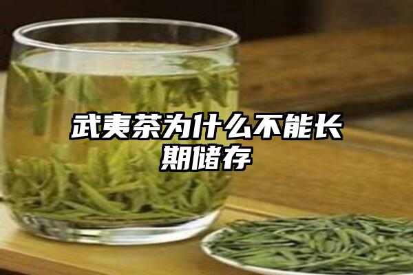 武夷茶为什么不能长期储存