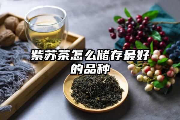 紫苏茶怎么储存最好的品种