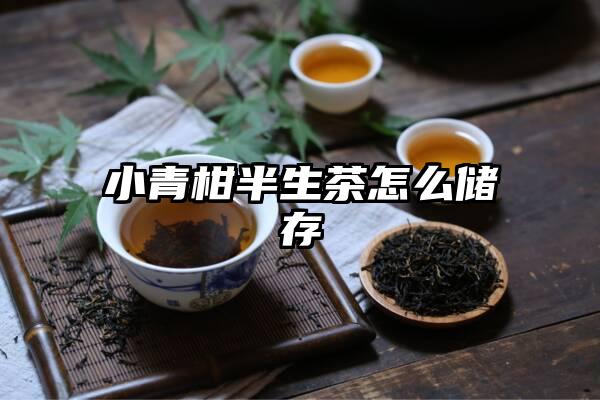 小青柑半生茶怎么储存