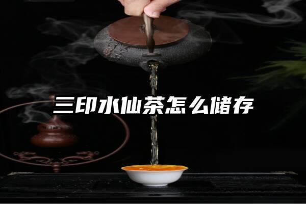 三印水仙茶怎么储存