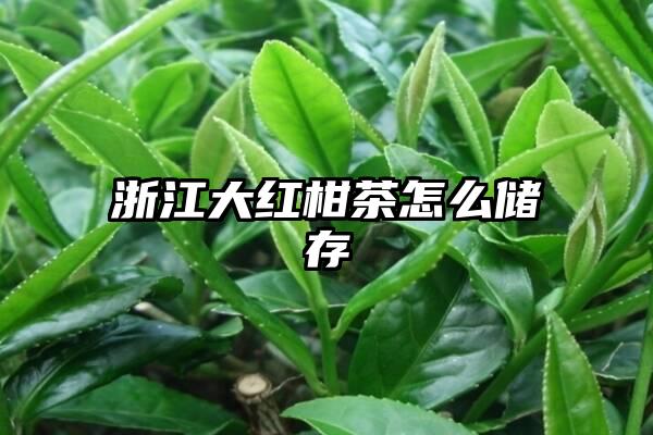 浙江大红柑茶怎么储存